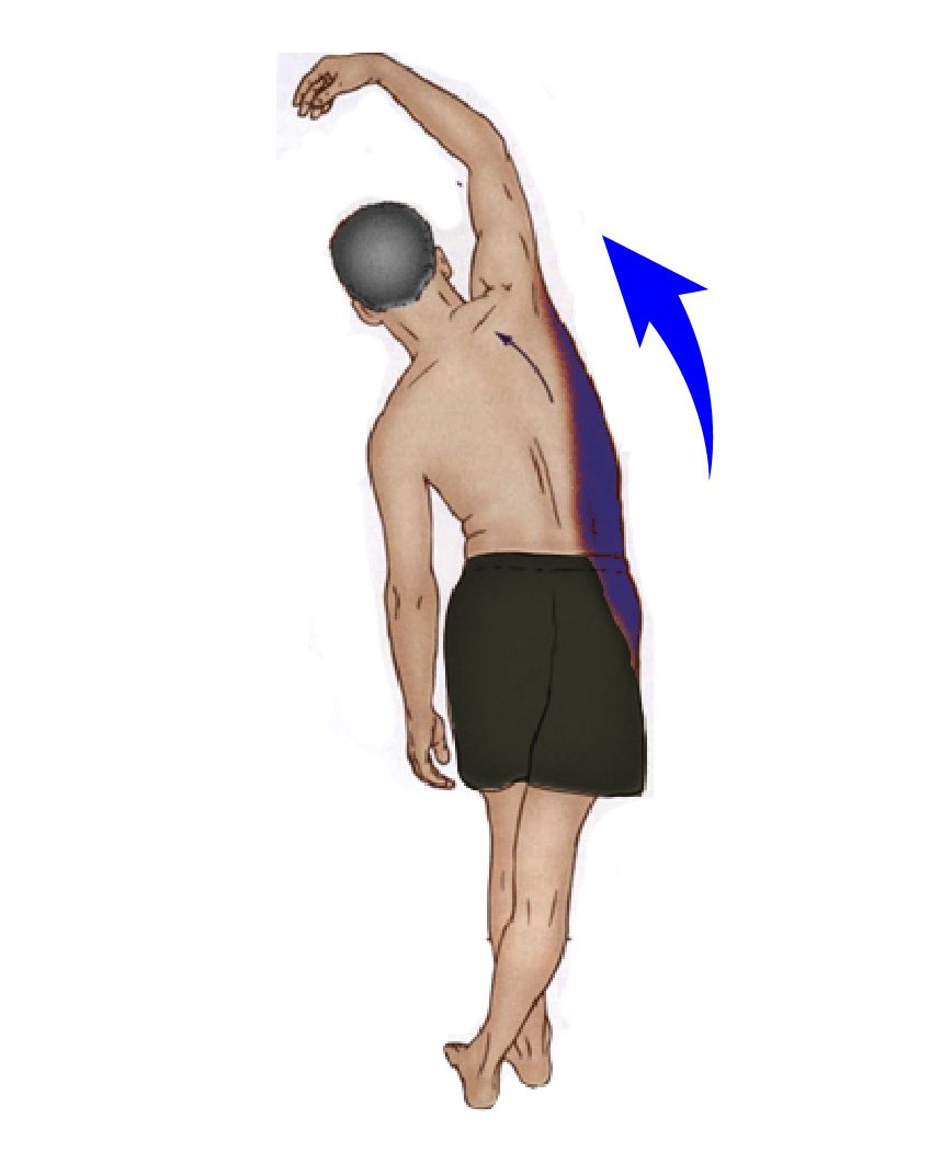 manual quadratus lumborum stretch