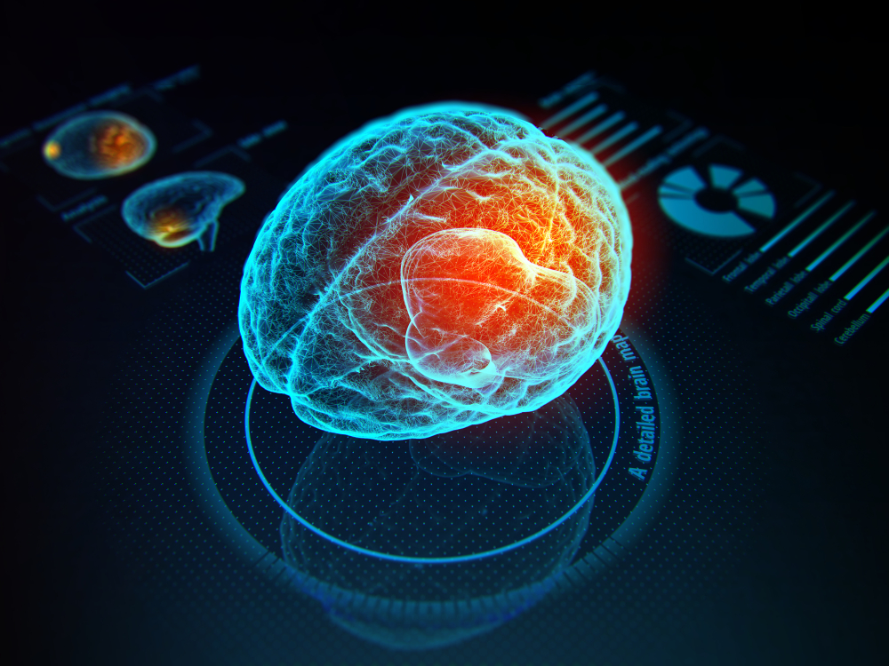Neural Scan Pro+