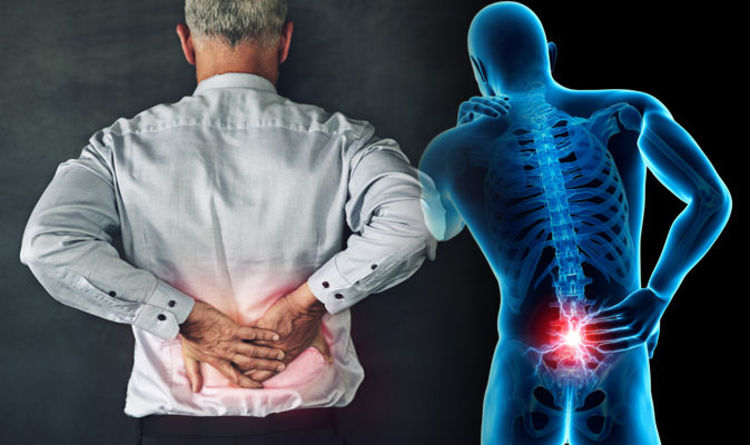 Vertebrogenic (Low Back) Pain: Causes, Diagnosis, Treatment